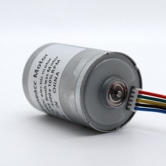 BL2838 B2838M 28dB Bürstenloser Gleichstrommotor mit Innenrotor, 28 mm