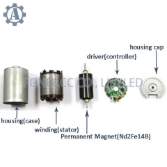 BL3640 B3640M bürstenloser Gleichstrommotor mit 36 mm Durchmesser und Innenrotor