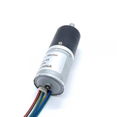 FAPG24-BL2430 24 mm kleiner Metallplanetengetriebe-DC-Elektromotor